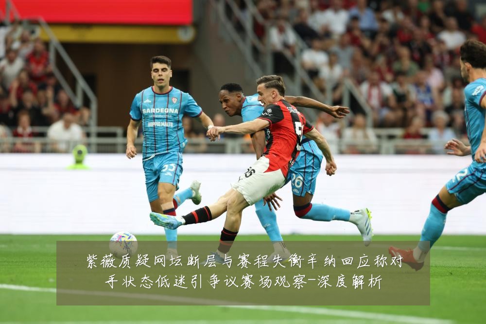 紫薇质疑网坛断层与赛程失衡辛纳回应称对手状态低迷引争议赛场观察-深度解析