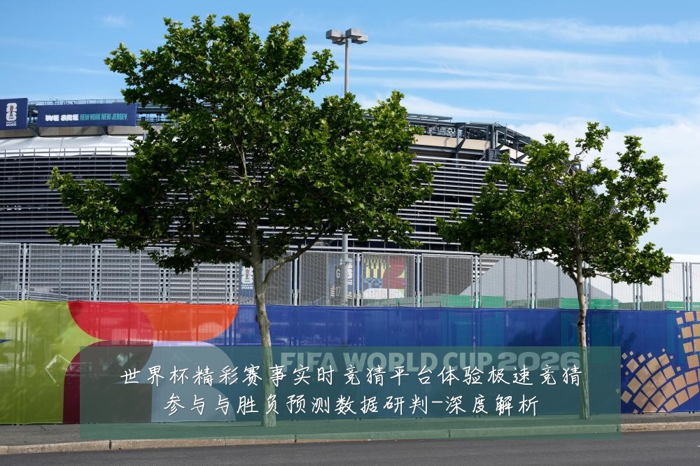 世界杯精彩赛事实时竞猜平台体验极速竞猜参与与胜负预测数据研判-深度解析